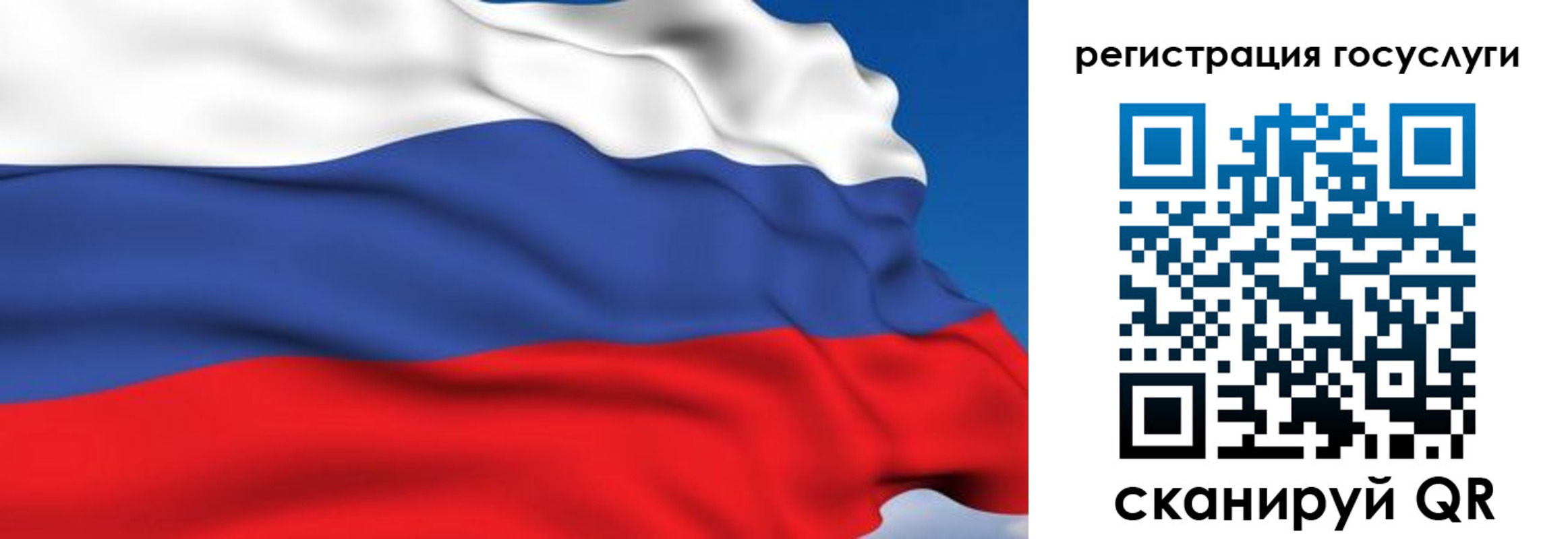 где прописаться в Светлогорске